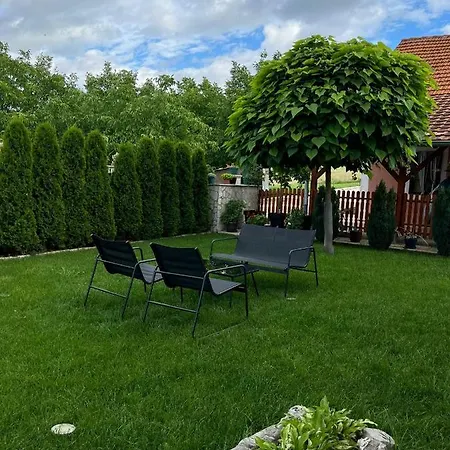 Djokic Sa Bazenom 公寓 *